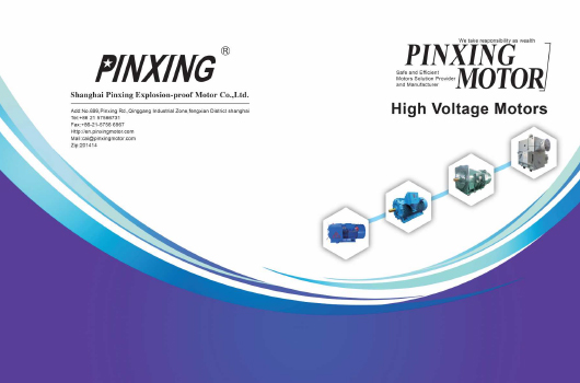 Shanghai Pinxing Explosion-Proof Motor Co., Ltd.